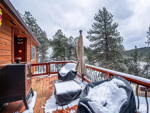 487 Gross Rd, Bailey, CO 80421 photo 23