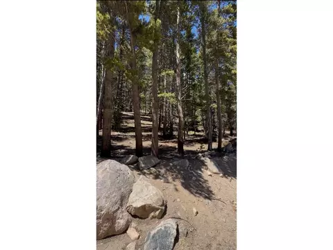 378 Alice Rd, Idaho Springs, CO 80452
