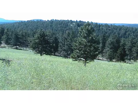 285 Saint Vrain Rd, Lyons, CO 80540 photo 6