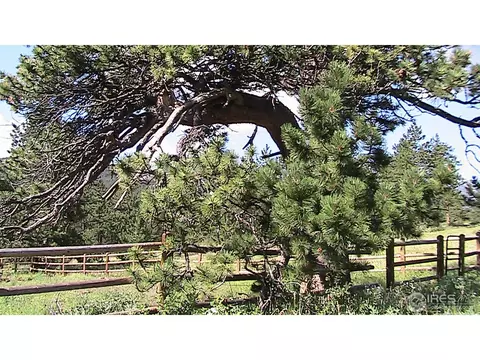 285 Saint Vrain Rd, Lyons, CO 80540 photo 5