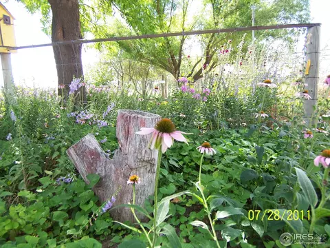 29511 3rd St, Snyder, CO 80750 photo 7