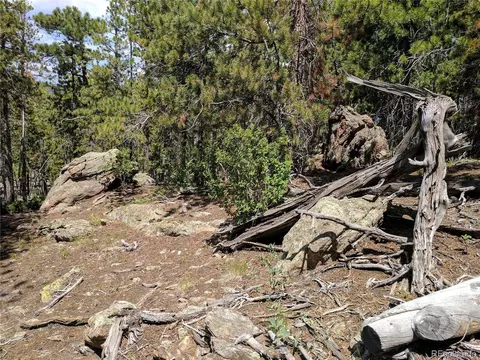 10147 Horizon View Dr, Morrison, CO 80465 photo 19