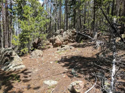 10147 Horizon View Dr, Morrison, CO 80465 photo 18