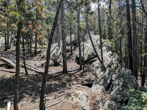 10147 Horizon View Dr, Morrison, CO 80465 photo 16