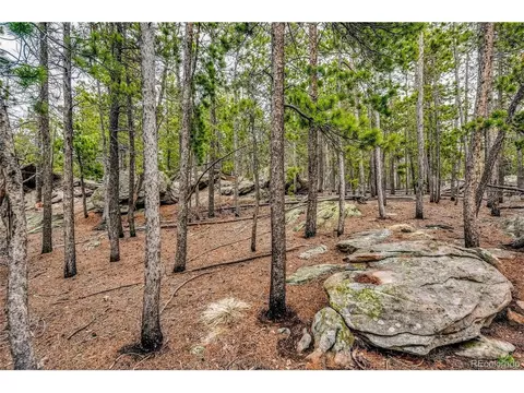 10147 Horizon View Dr, Morrison, CO 80465 photo 20