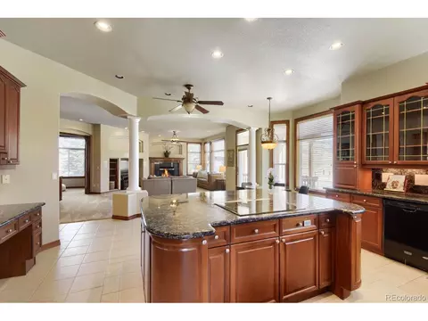 8050 Witney Pl, Lone Tree, CO 80124 photo 5