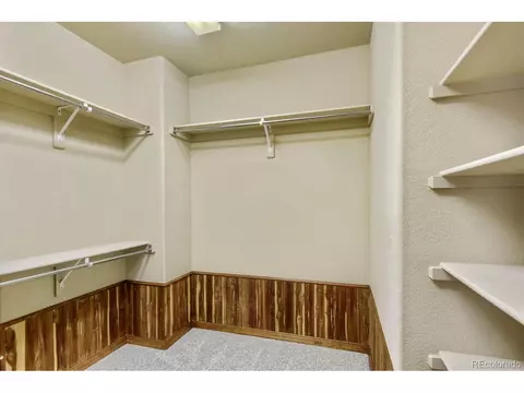 8050 Witney Pl, Lone Tree, CO 80124 photo 20