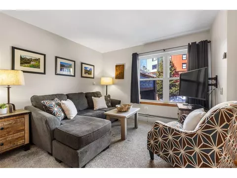 100 S Park Ave #W209, Breckenridge, CO 80424