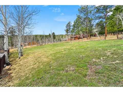 312 S Pine Dr, Bailey, CO 80421 photo 26