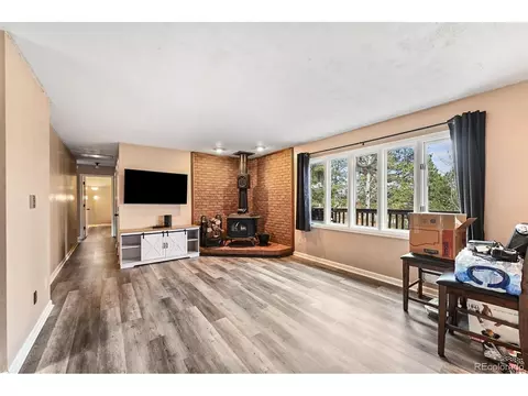 312 S Pine Dr, Bailey, CO 80421 photo 6