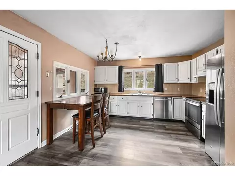 312 S Pine Dr, Bailey, CO 80421 photo 8