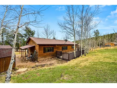 312 S Pine Dr, Bailey, CO 80421 photo 24