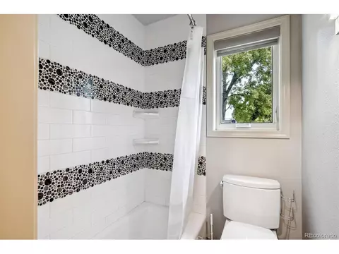 258 Eudora St, Denver, CO 80220 photo 31