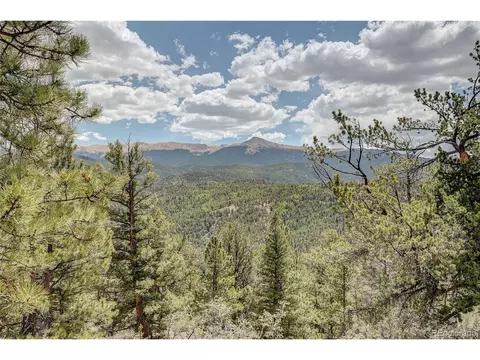59 Robin Pt, Divide, CO 80814 photo 28