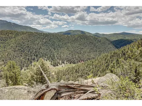 59 Robin Pt, Divide, CO 80814 photo 3