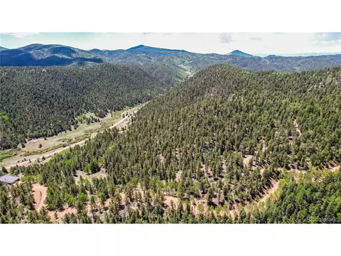 59 Robin Pt, Divide, CO 80814 photo 21