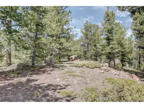 59 Robin Pt, Divide, CO 80814 photo 6