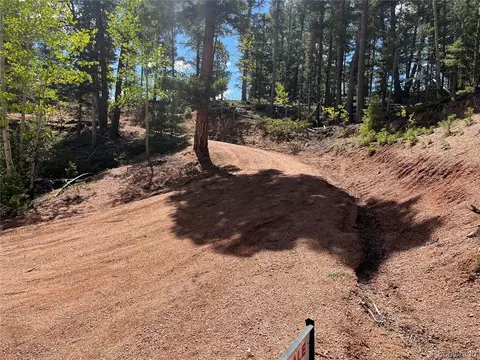 59 Robin Pt, Divide, CO 80814 photo 14