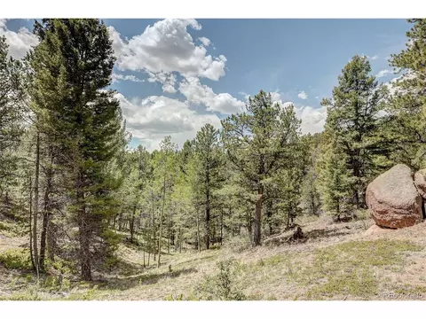 59 Robin Pt, Divide, CO 80814