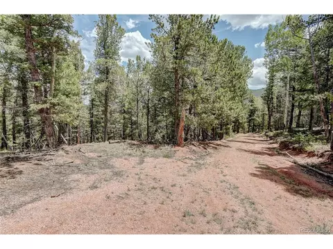 59 Robin Pt, Divide, CO 80814 photo 15