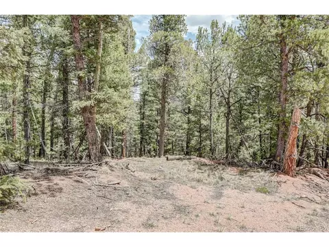 59 Robin Pt, Divide, CO 80814 photo 8