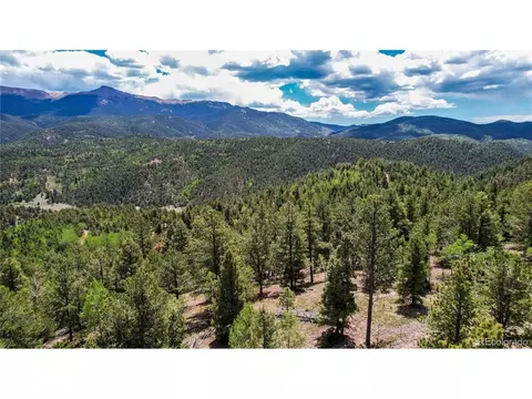 59 Robin Pt, Divide, CO 80814 photo 23