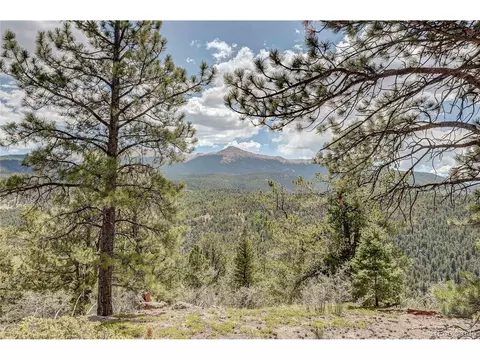 59 Robin Pt, Divide, CO 80814 photo 27