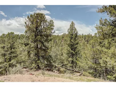 59 Robin Pt, Divide, CO 80814 photo 24