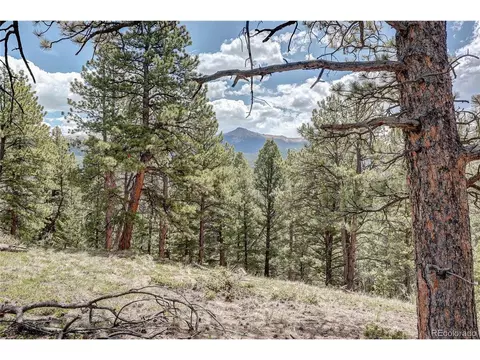 59 Robin Pt, Divide, CO 80814 photo 29