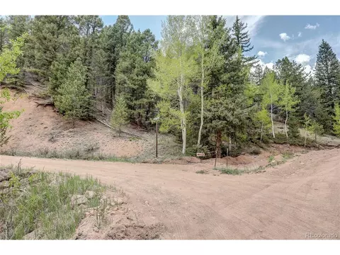 59 Robin Pt, Divide, CO 80814 photo 12
