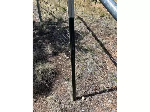 59 Robin Pt, Divide, CO 80814 photo 17