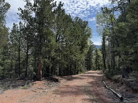 59 Robin Pt, Divide, CO 80814 photo 14