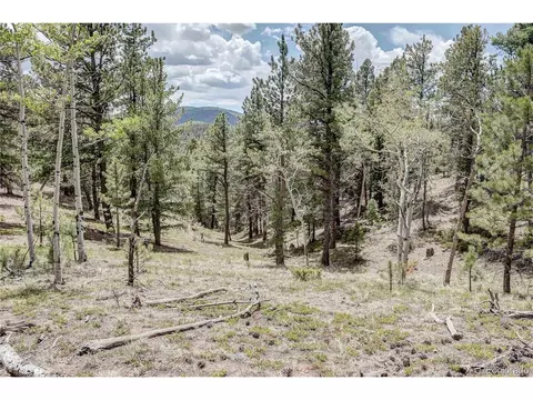 59 Robin Pt, Divide, CO 80814 photo 7