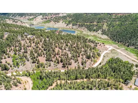 59 Robin Pt, Divide, CO 80814 photo 19
