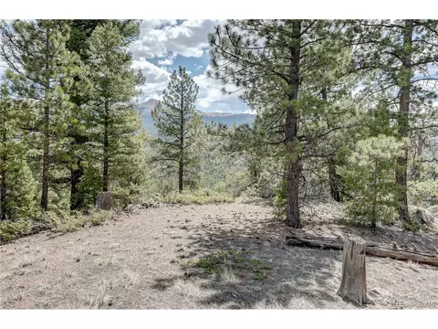 59 Robin Pt, Divide, CO 80814 photo 26