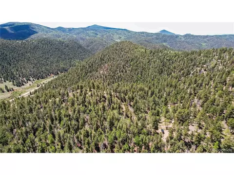 59 Robin Pt, Divide, CO 80814 photo 22