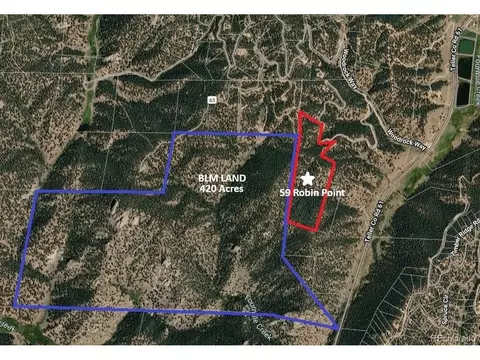 59 Robin Pt, Divide, CO 80814 photo 4