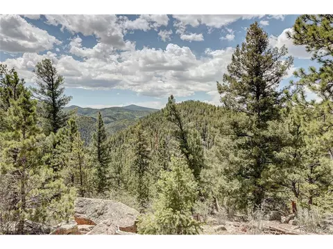 59 Robin Pt, Divide, CO 80814 photo 25