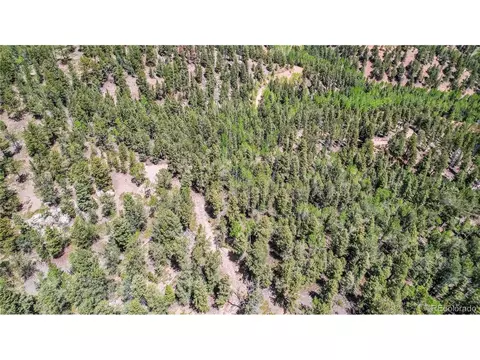 59 Robin Pt, Divide, CO 80814 photo 20