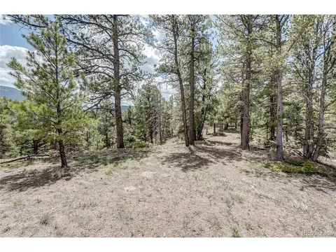 59 Robin Pt, Divide, CO 80814 photo 9