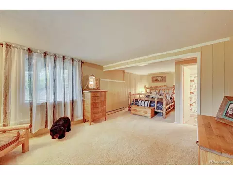 25893 Mosier St, Conifer, CO 80433 photo 25