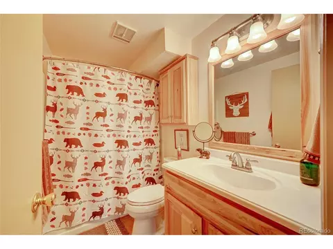 25893 Mosier St, Conifer, CO 80433 photo 27