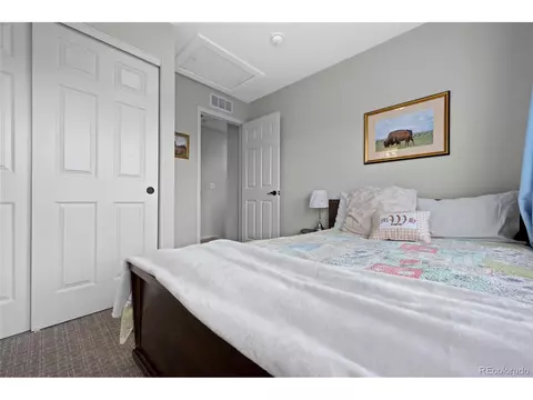 10048 E 28th Ave, Denver, CO 80238 photo 28