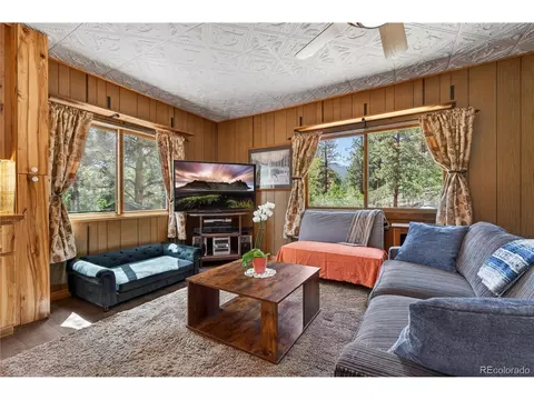 Living - 256 Houston St, Bailey, CO 80421 photo 1 of 1