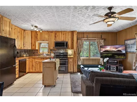 Kitchen - 256 Houston St, Bailey, CO 80421 photo 4 of 5