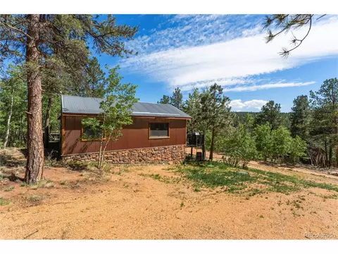 Exterior - 256 Houston St, Bailey, CO 80421 photo 9 of 10