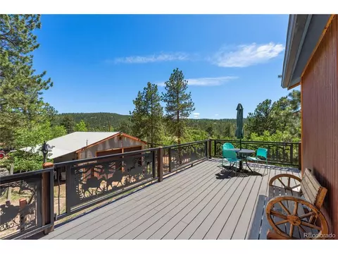 Exterior - 256 Houston St, Bailey, CO 80421 photo 3 of 10