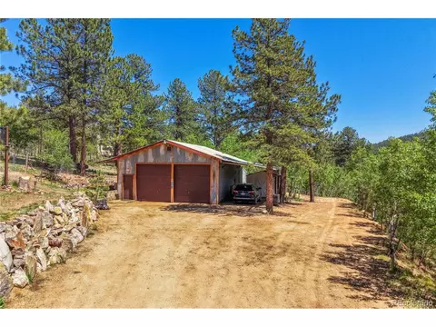 Exterior - 256 Houston St, Bailey, CO 80421 photo 2 of 10