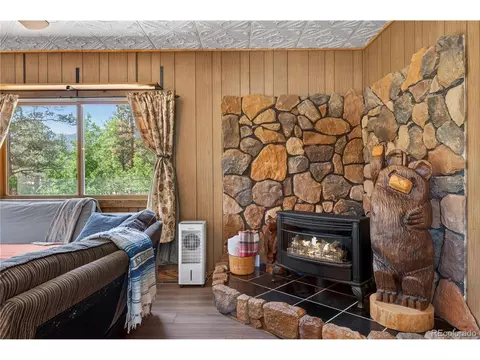 Living - 256 Houston St, Bailey, CO 80421 photo 1 of 1