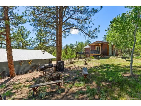 Exterior - 256 Houston St, Bailey, CO 80421 photo 10 of 10